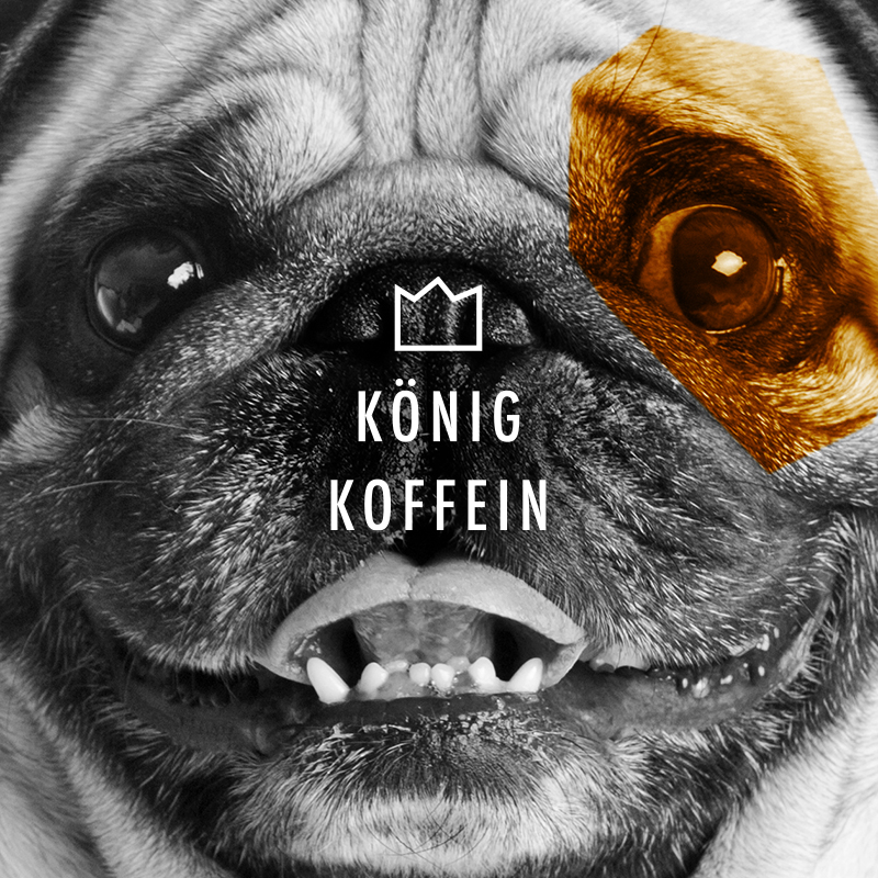 König Koffein