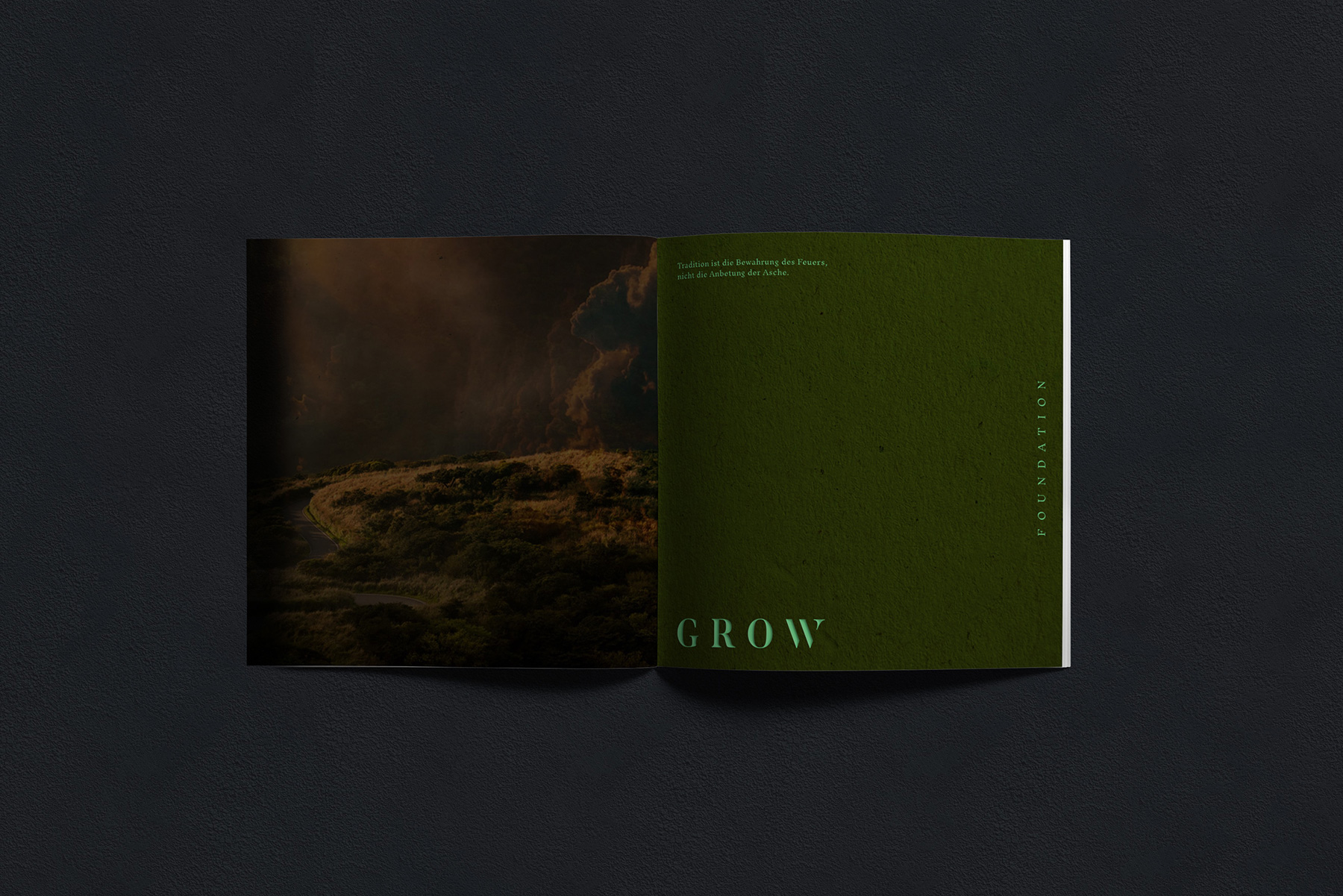 grow-corporate-design-by-max-duchardt-m-a-a-x-branding-broschure-foundation-2